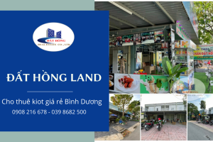 Dịch vụ cho thuê kiot giá rẻ Bình Dương tại Bất Động Sản Đất Hồng