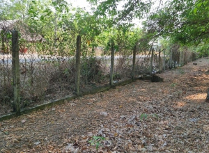 Đất Phú Giáo giá rẻ bình dân